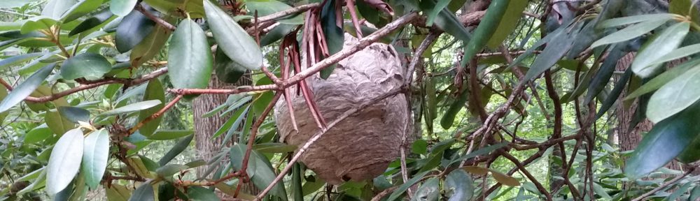 Bionomic Pest Solutions             (401) 261-7240